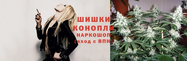 гашик Магас
