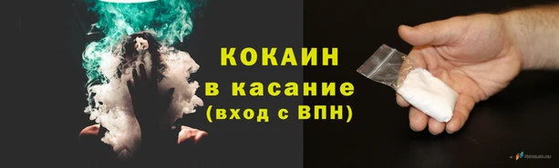 гашик Магас