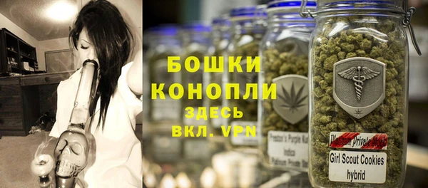 дурь Горняк