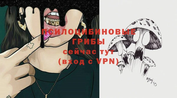 гашик Магас
