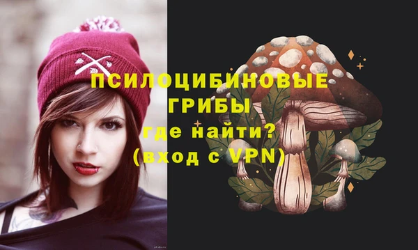 гашик Магас
