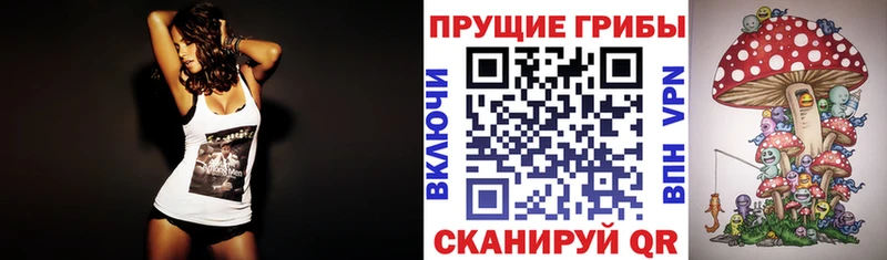 Псилоцибиновые грибы Psilocybe  Щёлкино 